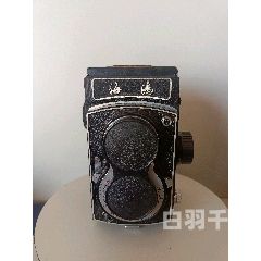 古董海鸥相机回收价格（海鸥老相机回收价格）